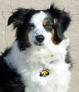 Wiseachers Smoke N Ashes Wiseachers Smoke N Ashes